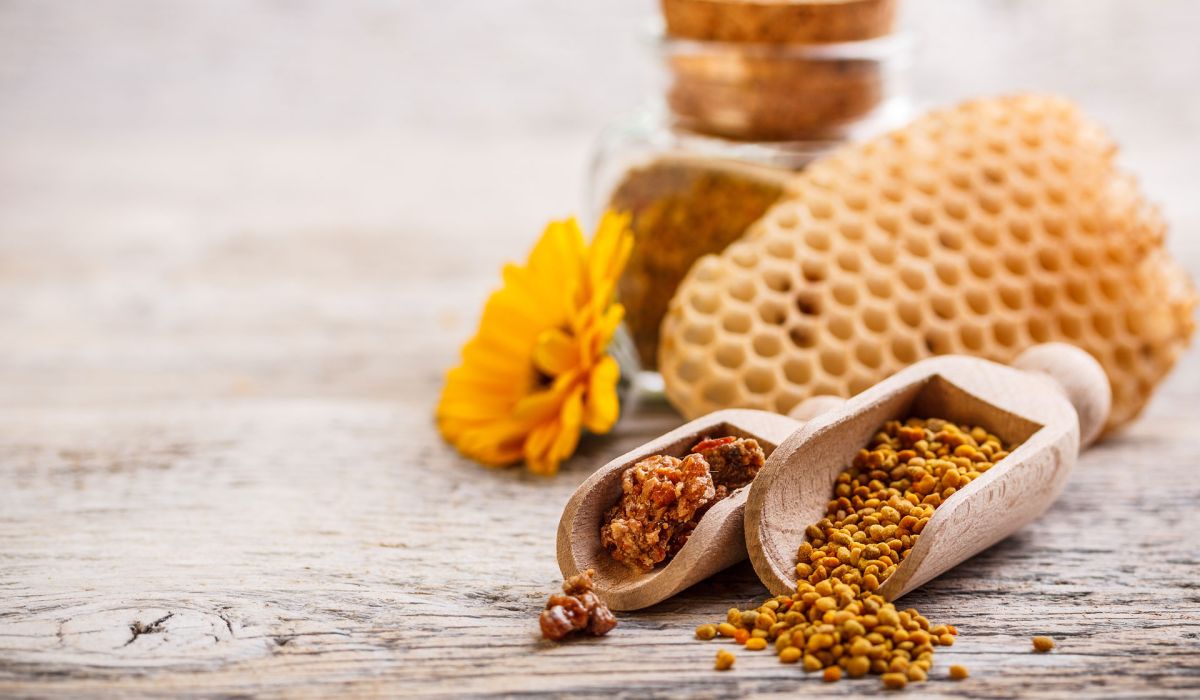 Propolis – Die Apotheke der Bienen